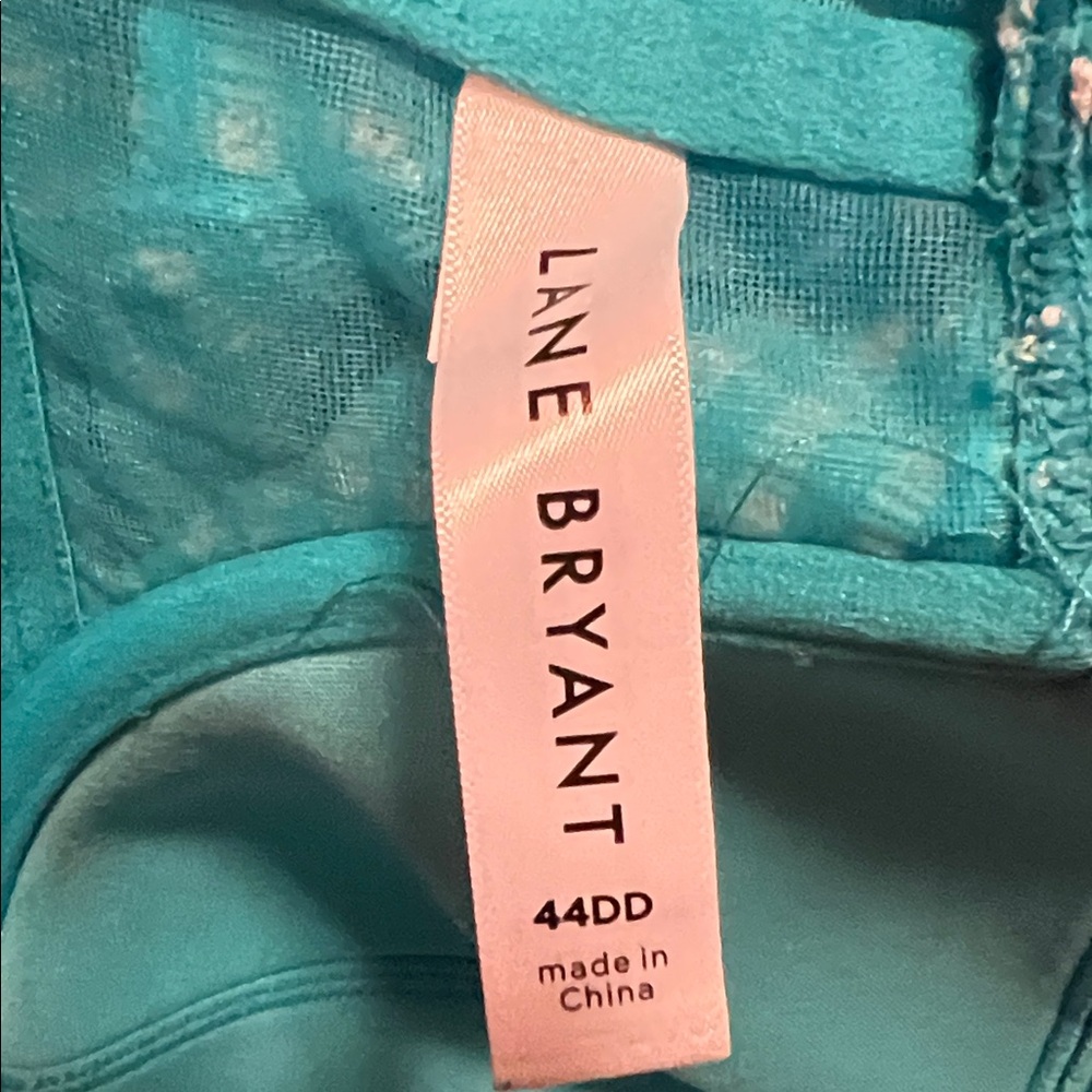 Lane Bryant Teal Bikini - Picture 4 of 10